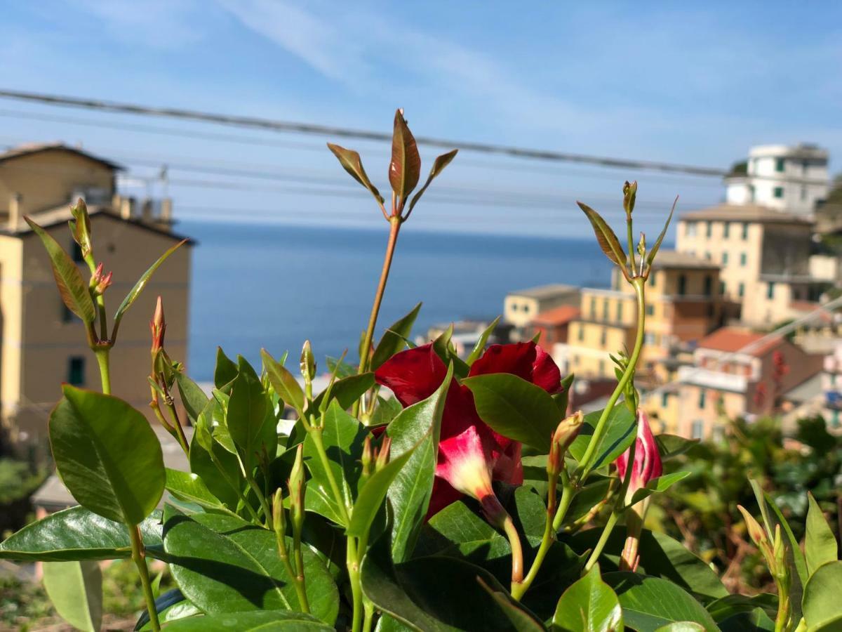 Cinque Terre Coast To Coast Hotel Riomaggiore Exterior photo